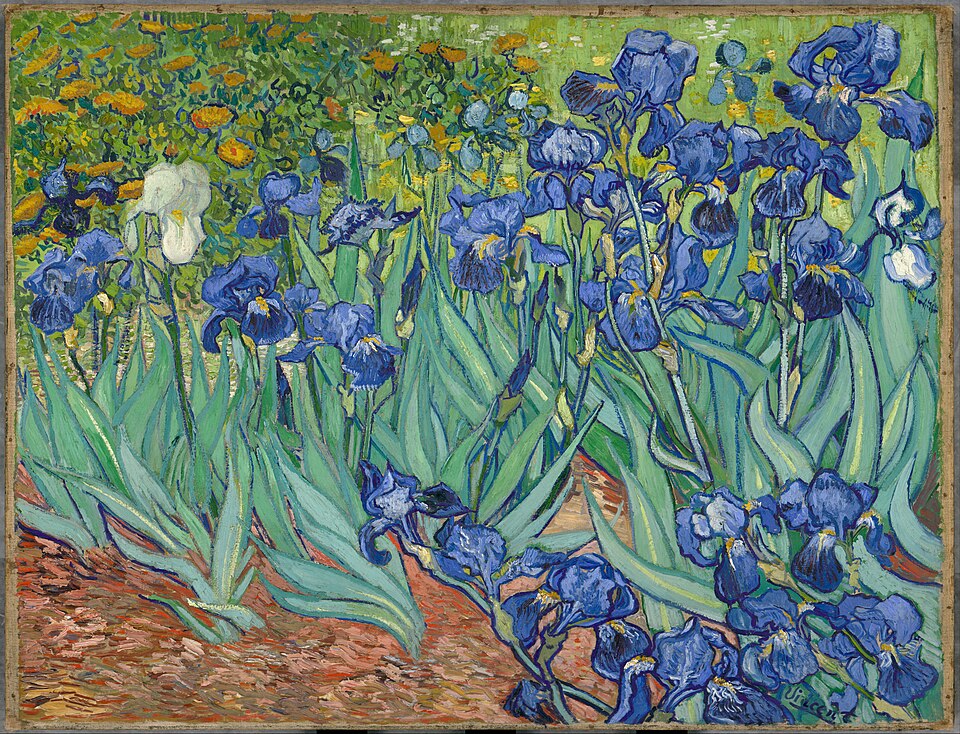 Les Iris