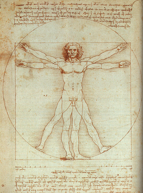 L'Homme de Vitruve